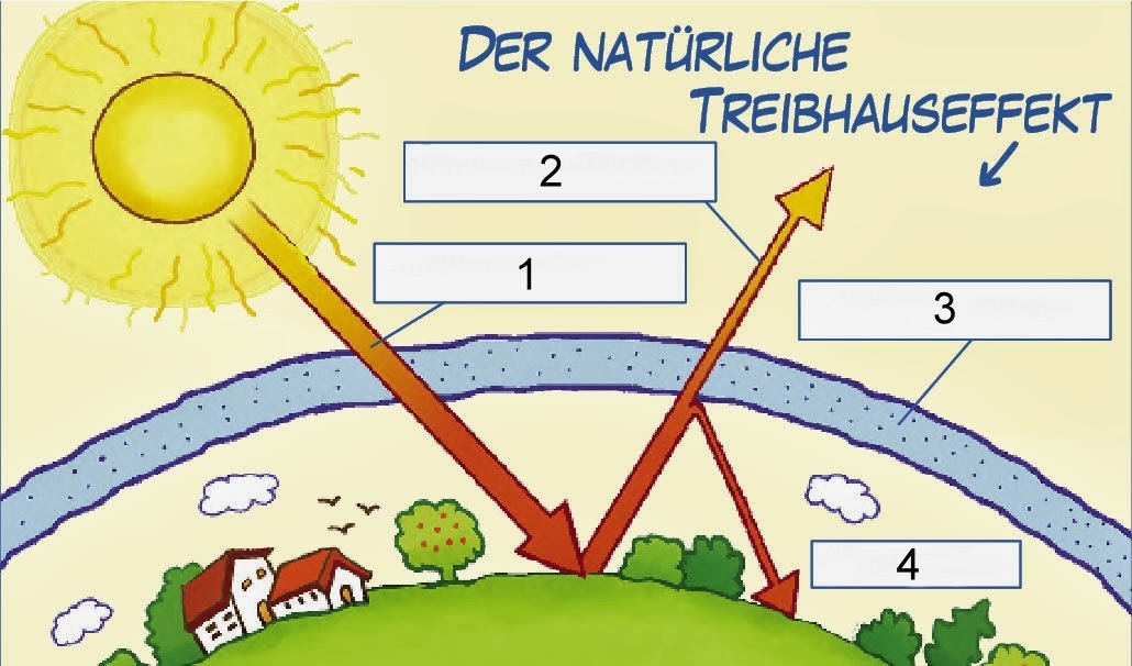 Verdauungssystem-beschriften-v1.jpg