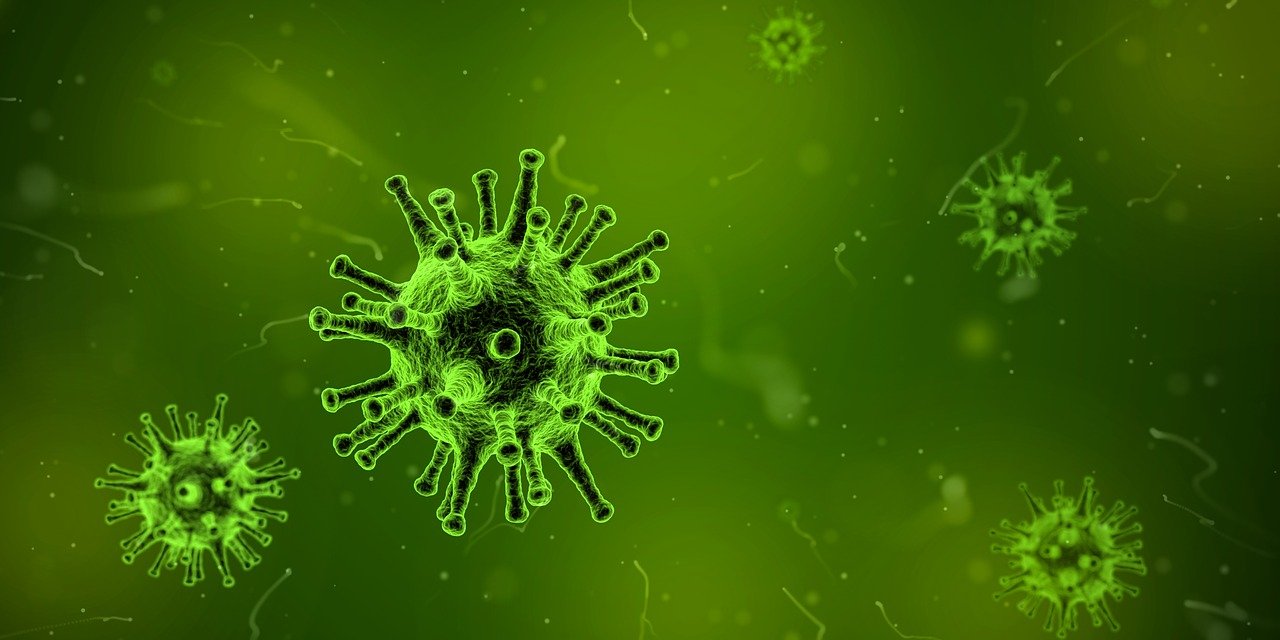 Online- Vortrag: Unser Immunsystem- unser wichtigster Schutz